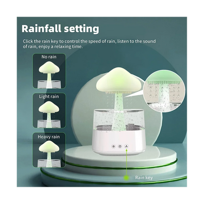 Rain Cloud Humidifier