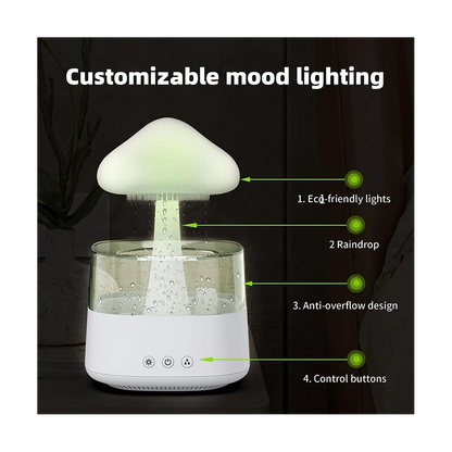 Rain Cloud Humidifier